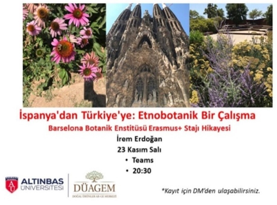 From Spain to Turkey: An Ethnobotanical Study