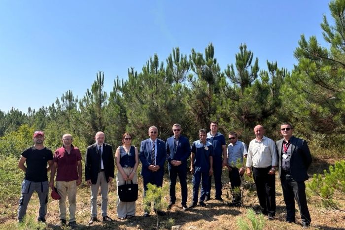 Altınbaş Üniversitesinden orman şehitlerimiz için 10 fidan 