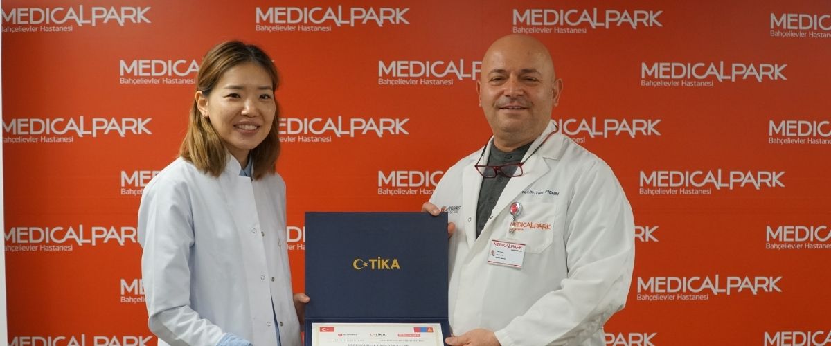 Cross-border cooperation in health: Mongolia team trained in Türkiye 