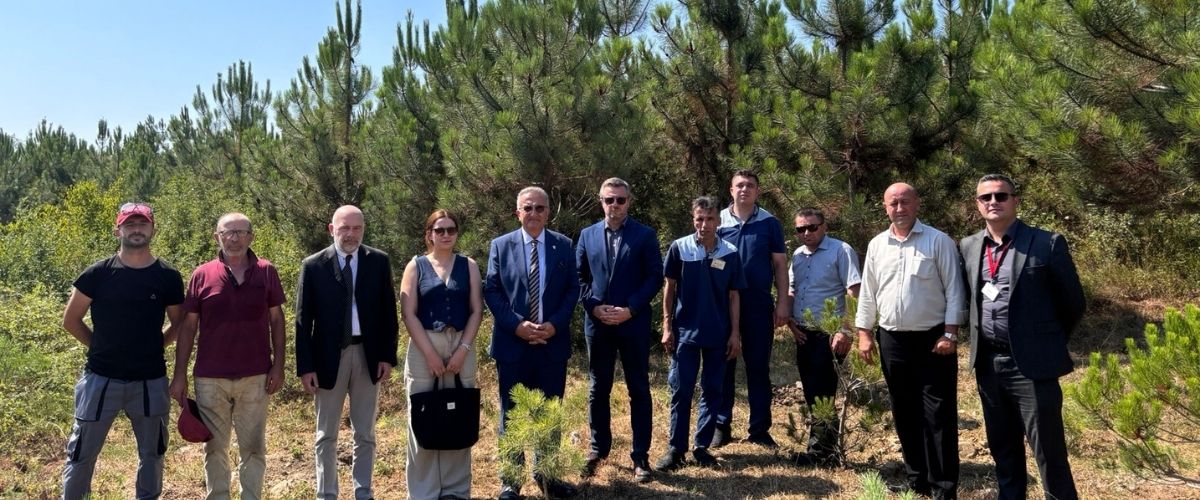 Altınbaş Üniversitesinden orman şehitlerimiz için 10 fidan 