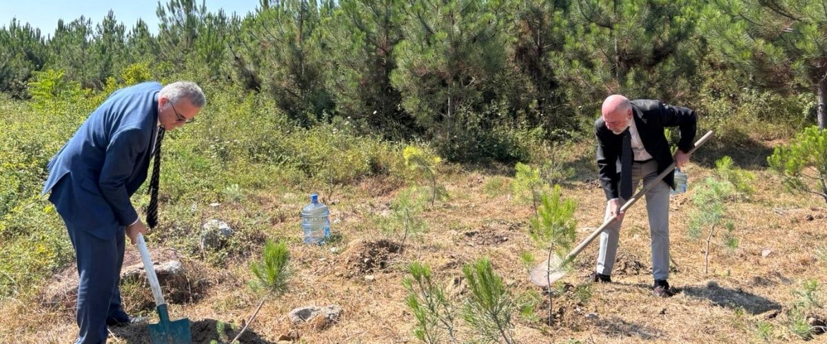 Altınbaş Üniversitesinden orman şehitlerimiz için 10 fidan 
