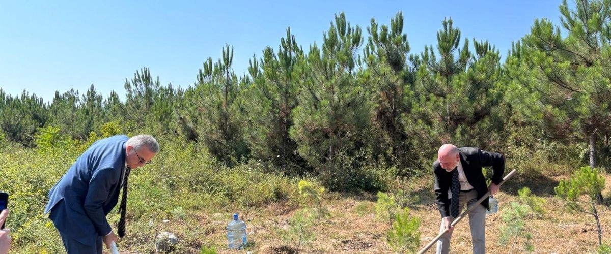 10 saplings for our forest martyrs from Altınbaş University 